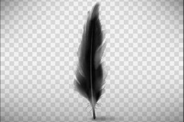 Tối ưu hóa thiết kế cho kết quả tốt hơn và khách hàng hạnh phúc hơn